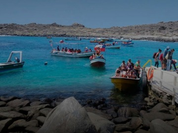 Venta / Parcela / La Higuera