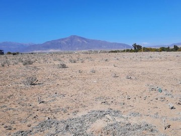 Venta / Parcela / La Higuera