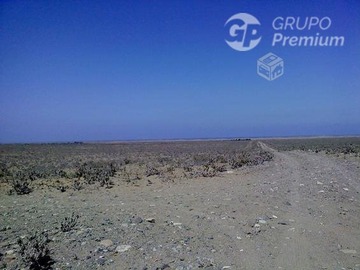 Imagen 4