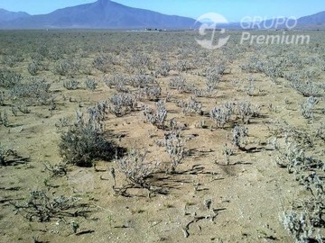 Imagen 5
