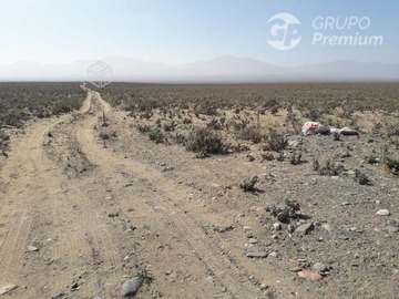 Imagen 8