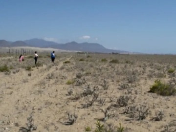 Venta / Parcela / La Higuera
