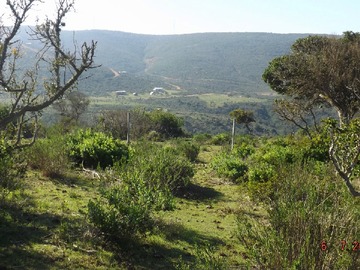 Imagen 4