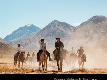 Imagen 6
