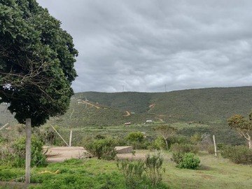 Venta / Parcela / La Ligua