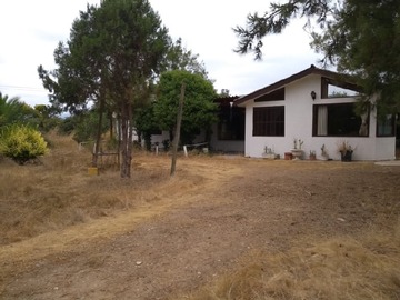 Imagen 8