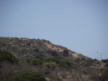 Imagen 11