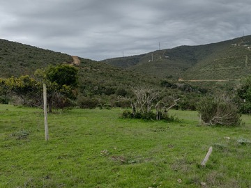 Imagen 5