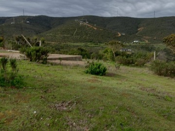 Imagen 14