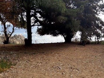 Venta / Parcela / La Ligua