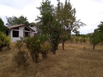 Imagen 9