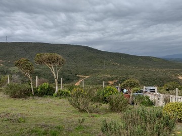 Imagen 7