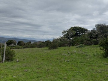 Imagen 9