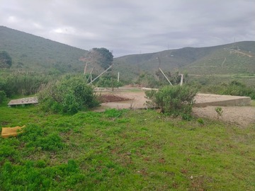 Imagen 16