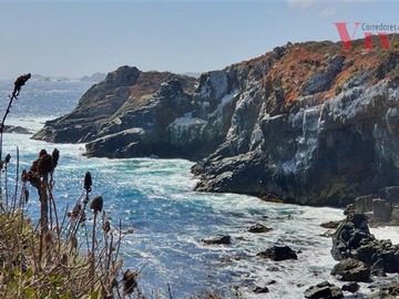 Imagen 7