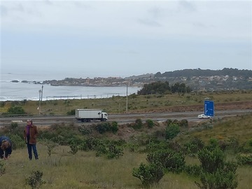 Imagen 8