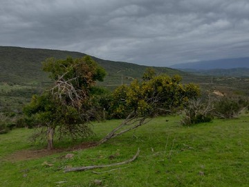 Imagen 11