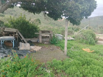 Imagen 6