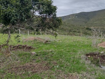 Imagen 13