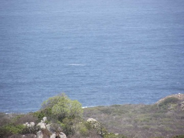 Imagen 9