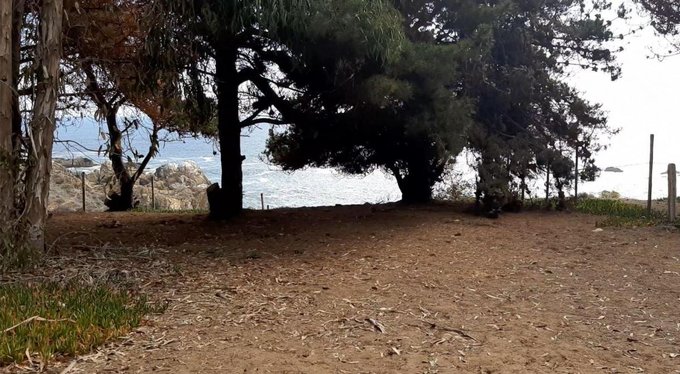 Bajada a la Playa a 50m de Parcela Nº139