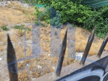 Imagen 7