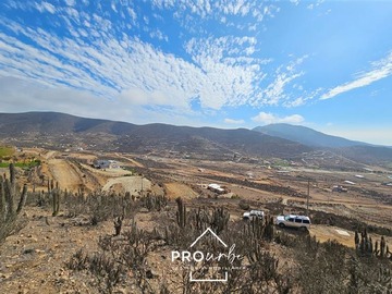 Imagen 7