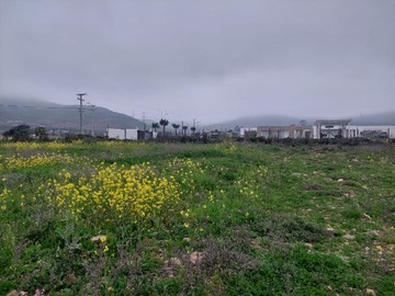 Imagen 5