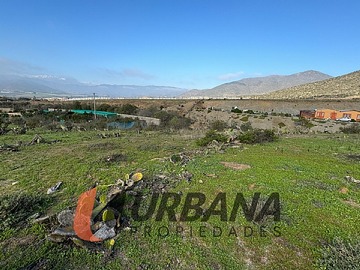 Imagen 11