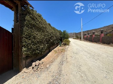 Imagen 25