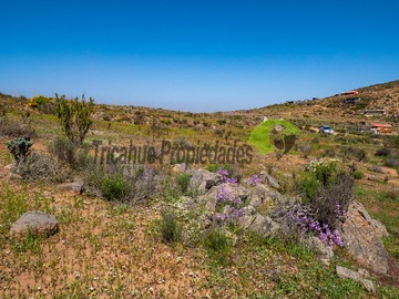 Imagen 12