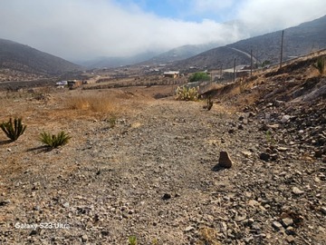 Imagen 8