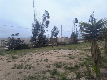 Imagen 14