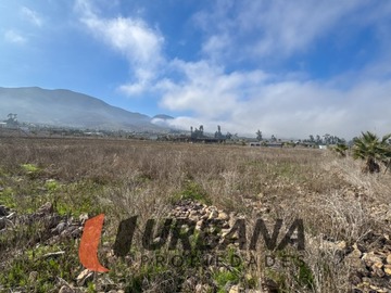 Imagen 7