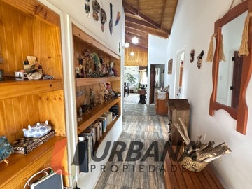 Imagen 5