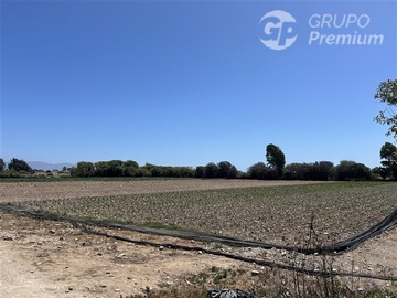Venta / Parcela / La Serena