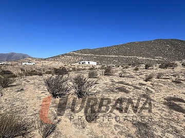 Imagen 4
