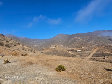Imagen 5