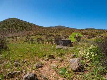 Imagen 13