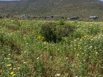 Venta / Parcela / La Serena