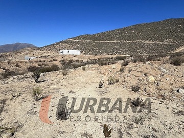 Imagen 9