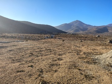 Imagen 6