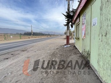 Imagen 19