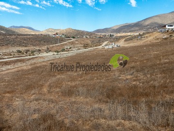 Imagen 8
