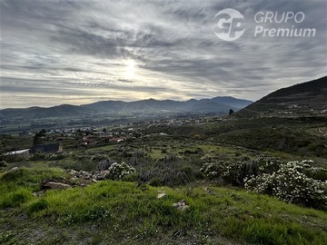 Imagen 11
