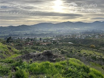 Imagen 8