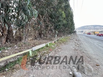 Imagen 18