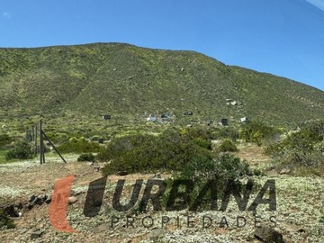 Imagen 10