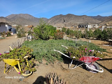 Imagen 6