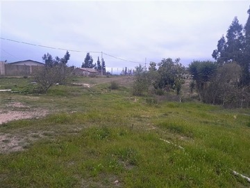 Imagen 13
